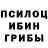 Псилоцибиновые грибы Psilocybe Maher Khoury
