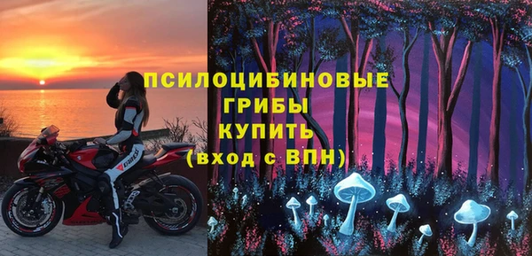 ГАЛЛЮЦИНОГЕННЫЕ ГРИБЫ Алексеевка