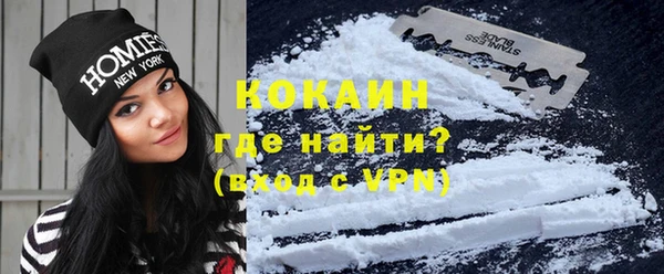 шишки Абинск
