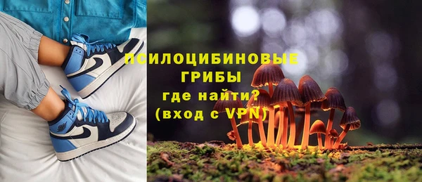 ГАЛЛЮЦИНОГЕННЫЕ ГРИБЫ Алексеевка