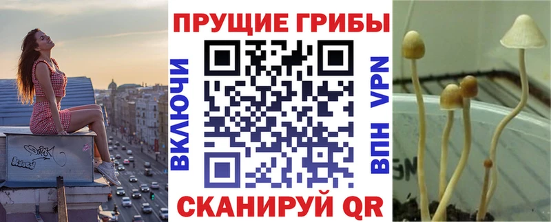 Галлюциногенные грибы Cubensis  Углегорск 